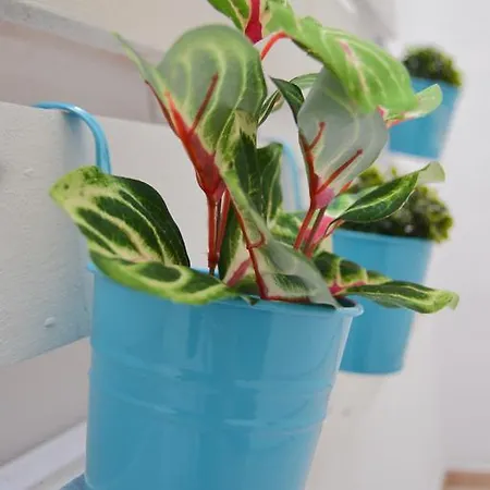 Apartman Edimar 9 - Arena Benidorm