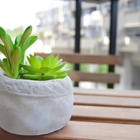 Edimar 9 - Arena * Benidorm