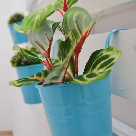 Appartement Edimar 9 - Arena *