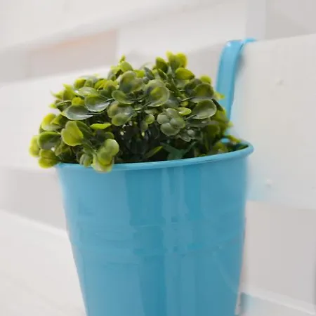 Edimar 9 - Arena 베니돔